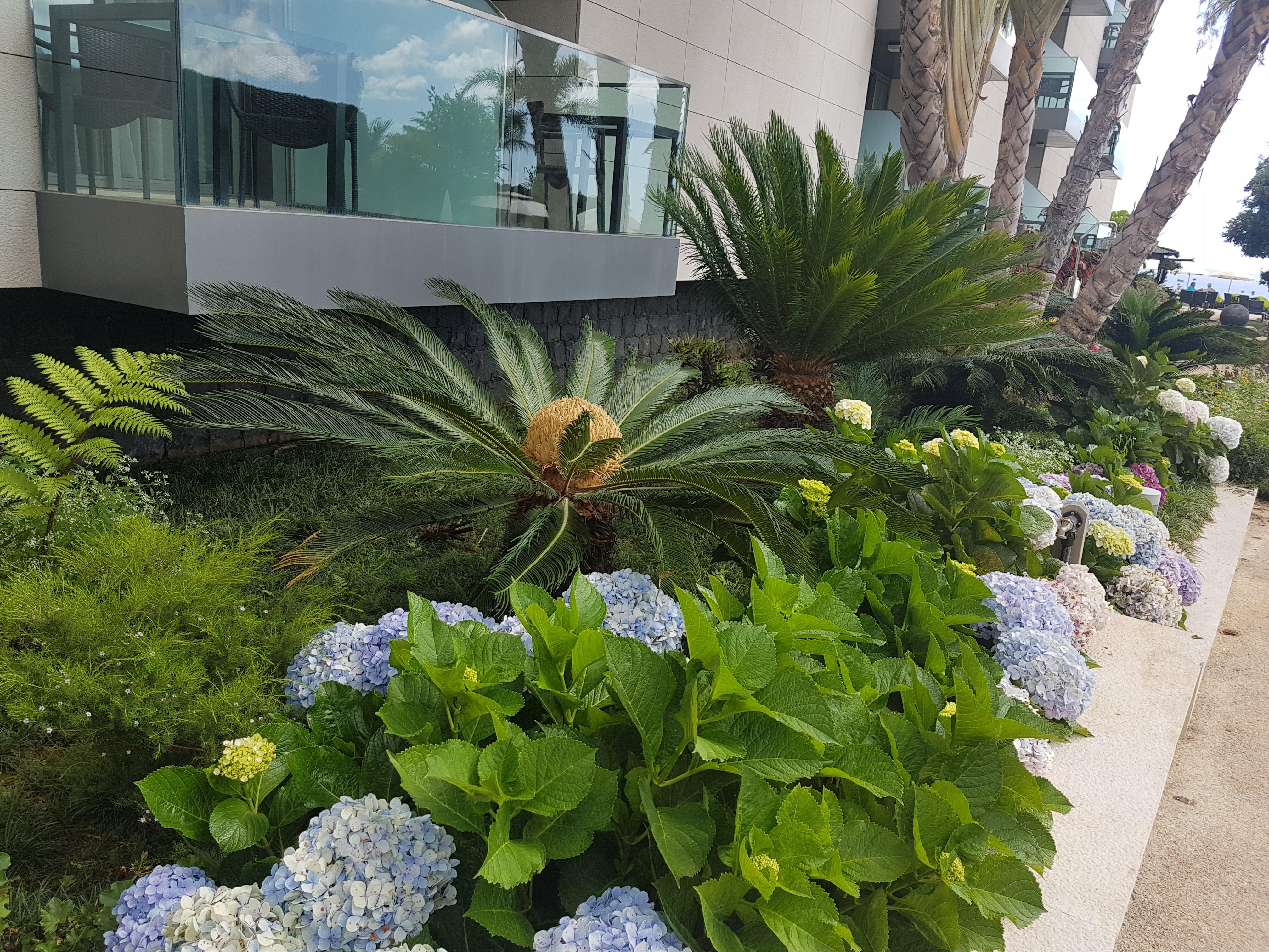 Golden Residence Hotel Funchal  Exterior foto
