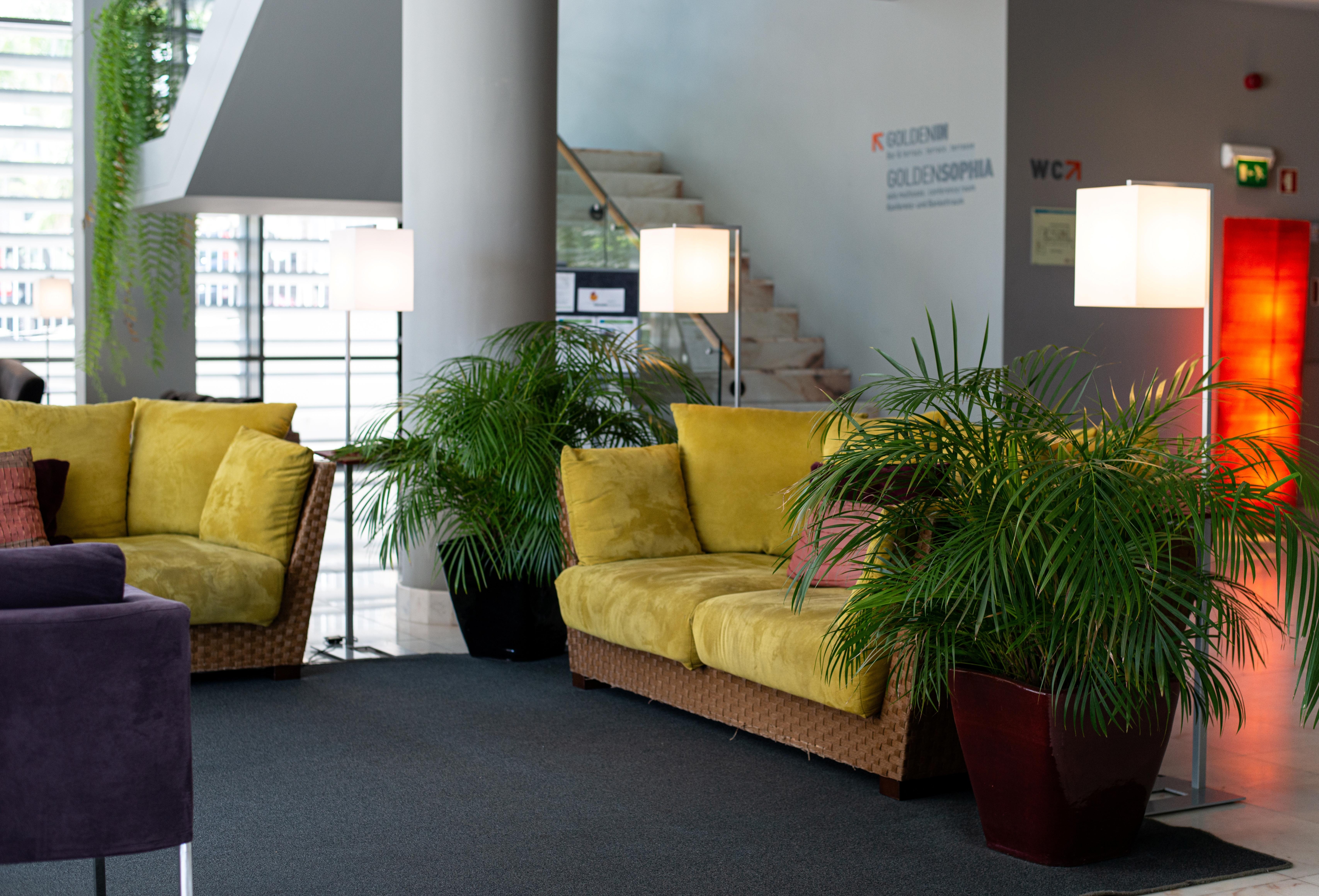 Golden Residence Hotel Funchal  Exterior foto